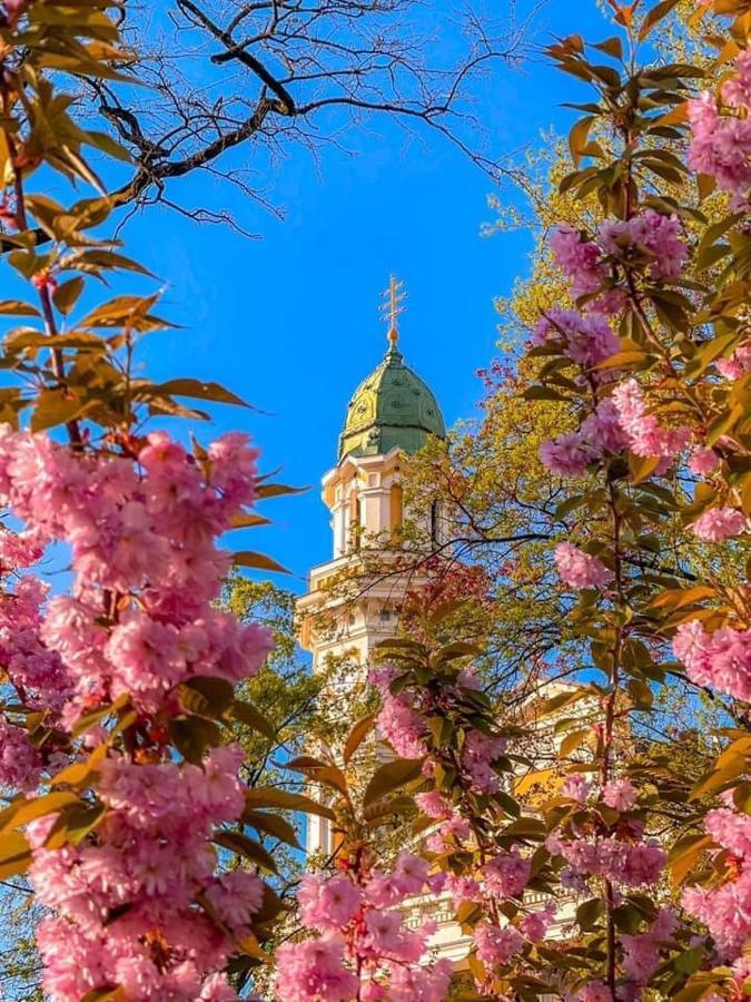 Старовинні Апартаменти У Центрі Міста อุชโฮรอด ภายนอก รูปภาพ